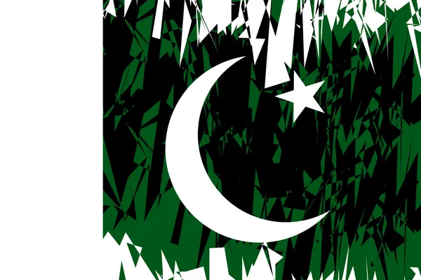 Flagga pakistan. — Stock vektor