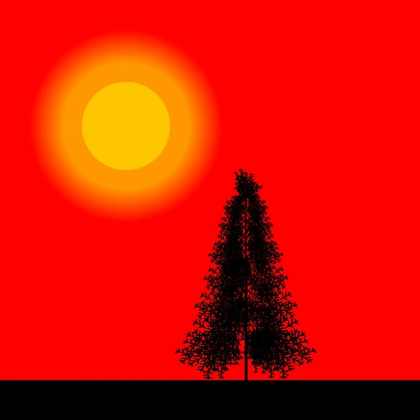Fir tree-silhouet bij zonsondergang. — Stockvector