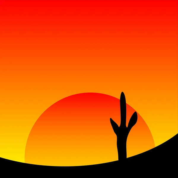 Puesta de sol en el desierto con plantas de cactus . — Archivo Imágenes Vectoriales