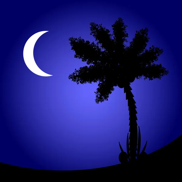 Palm tree at night. — Stock Vector