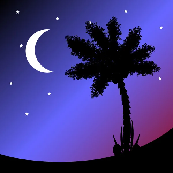 Palm tree at night. — Stock Vector