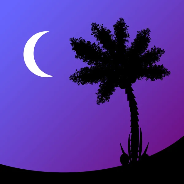 Palmera por la noche. — Vector de stock