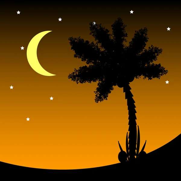 Пальмове дерево вночі . — стоковий вектор