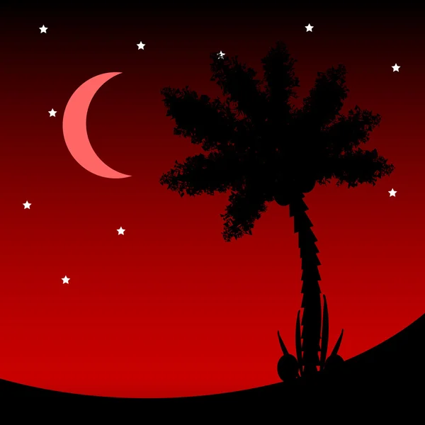 Palmboom 's nachts. — Stockvector