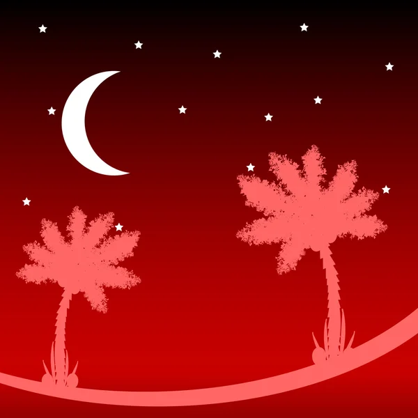 Palm tree at night. — Stock Vector