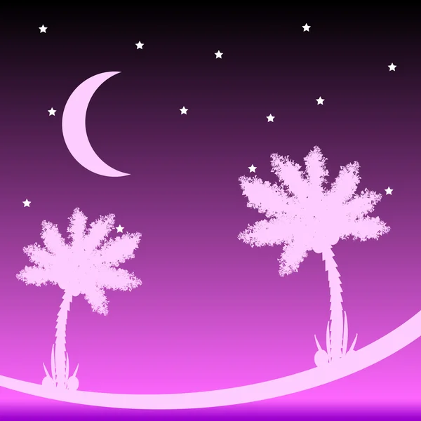 Palm tree at night. — Stock Vector