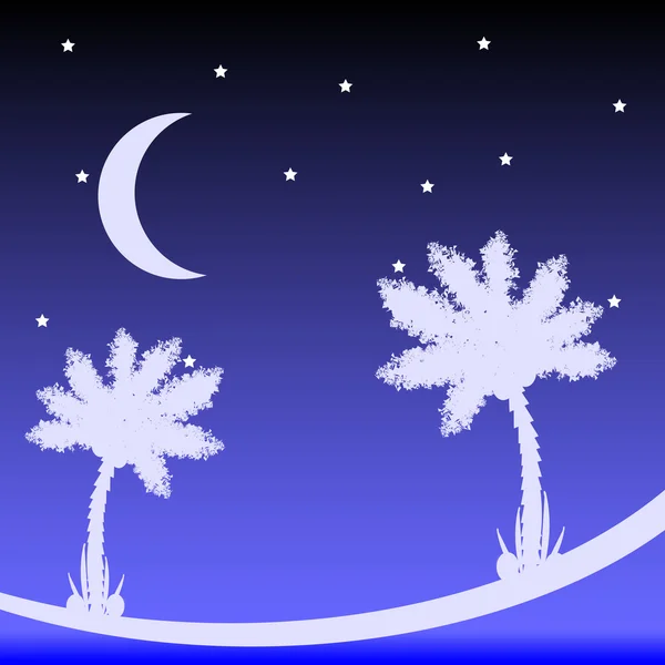 Palmierul noaptea . — Vector de stoc