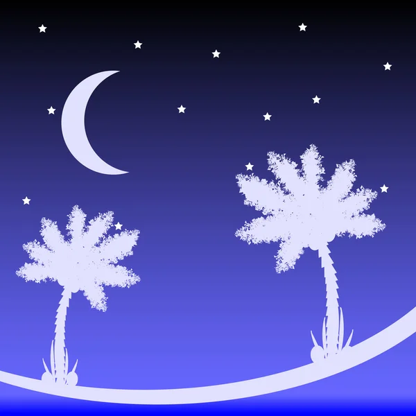 Palmera por la noche. — Vector de stock