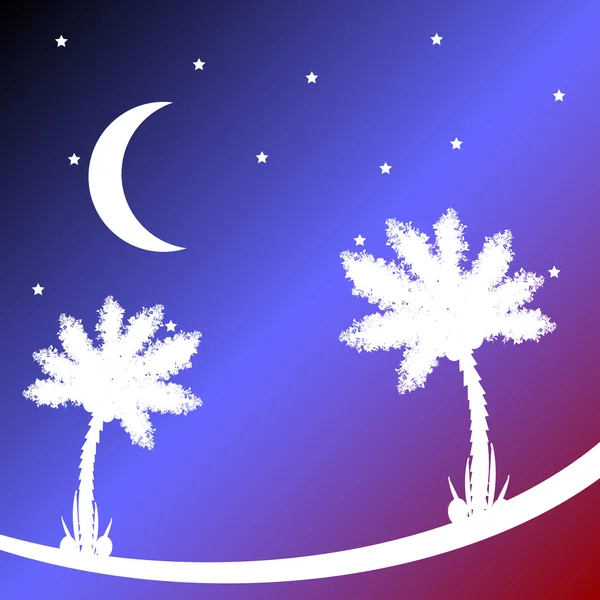 Palm tree at night. — Stock Vector