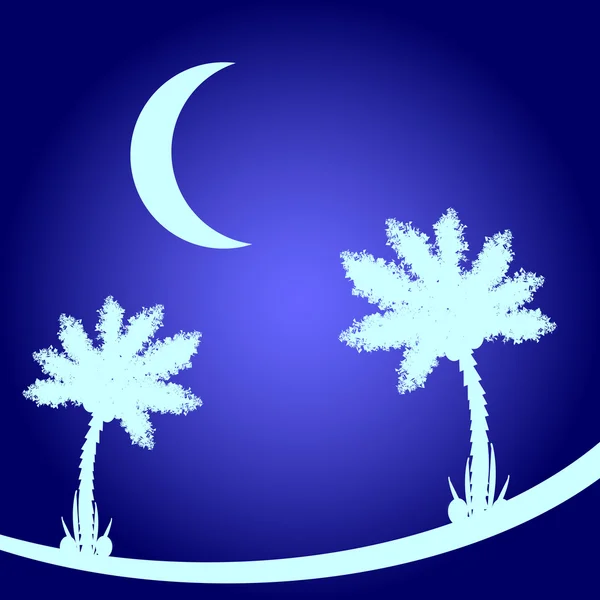 Palmera por la noche. — Vector de stock