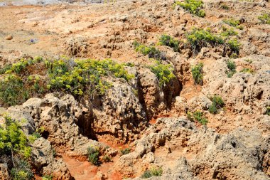 Kalker kayalar Ege Denizi Sahili.