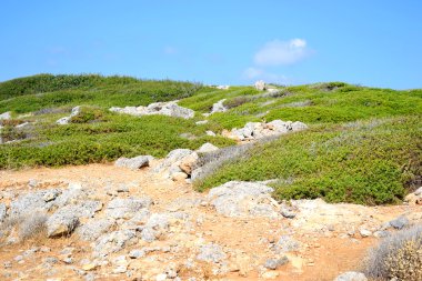 Girit'te yaz manzara.