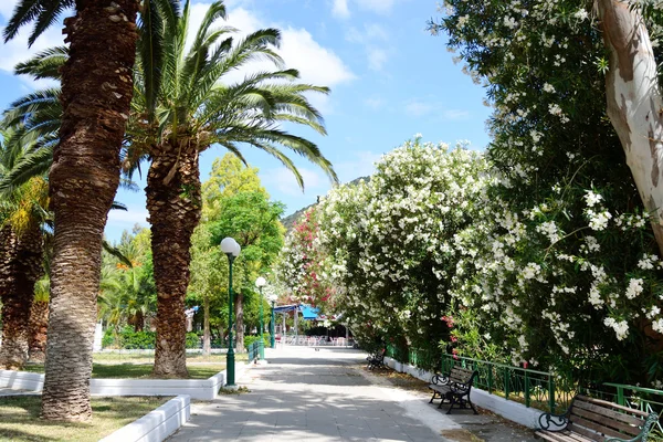 Paesaggio estivo, Grecia . — Foto Stock