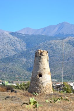 Yaz dağı manzarası.