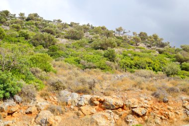 Yaz dağı manzarası.