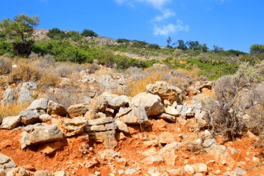 Yaz dağı manzarası.