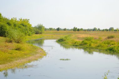 Nehir kıyısında güneşli bir gün.