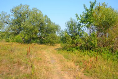 Yaz manzara, Beyaz Rusya.