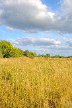 Yaz alan, Beyaz Rusya.