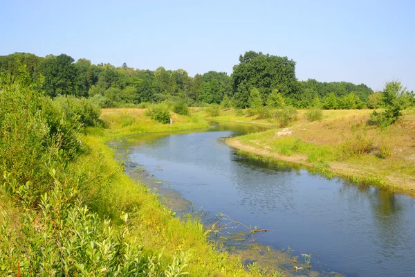 Nehir kıyısında güneşli bir gün.