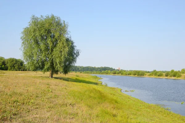 Fluss bei sonnigem Tag. — Stockfoto