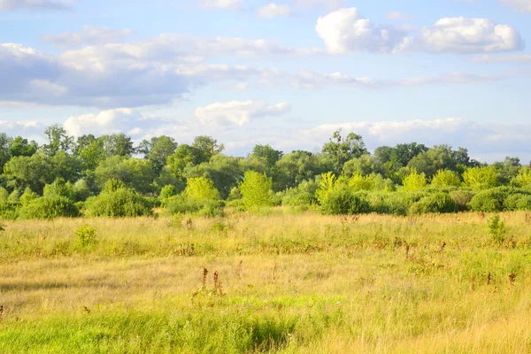 Yaz alan, Beyaz Rusya.