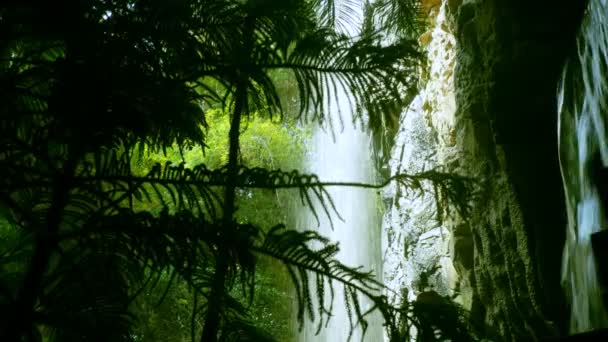 Cascade qui coule vue à travers les plantes tropicales — Video