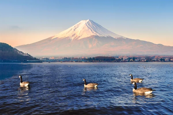 Гора Фудзі рано вранці — стокове фото