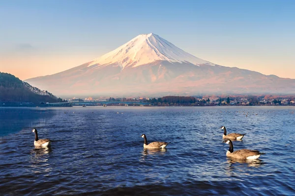 Mt fuji wczesnym rankiem — Zdjęcie stockowe