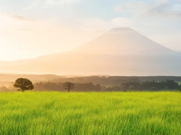 Monte Fuji — Fotografia de Stock