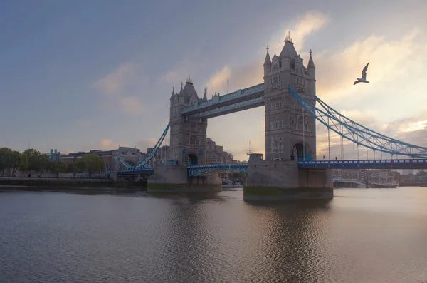 Ponte da torre — Fotografia de Stock