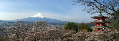 Chureito pagoda 