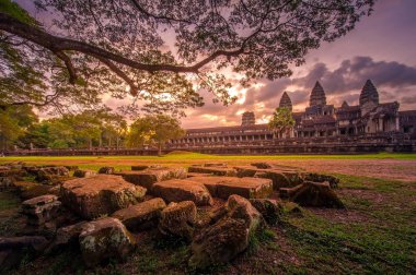 Angkor wat, cambodia
