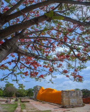 Mahathat Tapınağı 