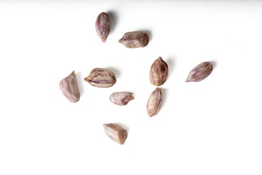 Kaynayan kaplan şeritli fıstığın yüksek çözünürlüklü fotoğrafı beyaz üzerinde, yüksek çözünürlüklü 45MP kamerayla çekildi.