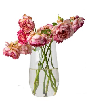 Yüksek çözünürlüklü gül cam kap fotoğrafı beyaz üzerine izole edilmiş, yüksek çözünürlüklü 45MP kamerayla çekilmiş.