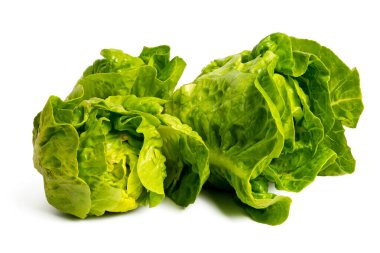 Yüksek çözünürlüklü kamerayla çekilen marul fotoğrafı beyaz arka plandaki odaklama tekniğini kullanıyor..