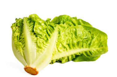 Yüksek çözünürlüklü kamerayla çekilen marul fotoğrafı beyaz arka plandaki odaklama tekniğini kullanıyor..