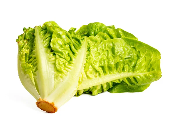 Yüksek çözünürlüklü kamerayla çekilen marul fotoğrafı beyaz arka plandaki odaklama tekniğini kullanıyor..