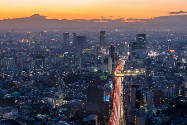 Słońce zachodzi nad panoramę Tokio — Zdjęcie stockowe