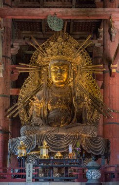 büyük Budaeen jongen in zomer park