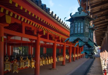 Kasuga Taisha tapınak bronz fenerler