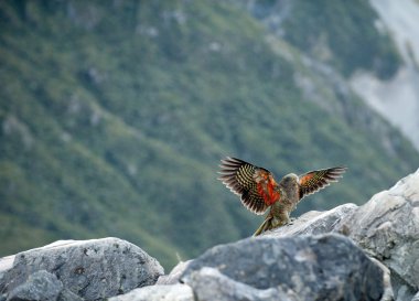 Kea fahişe Vadisi yukarıda