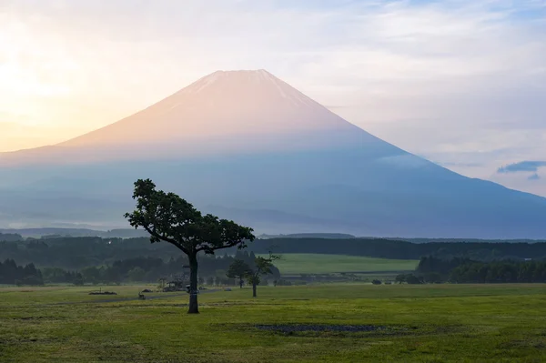 O Monte Fuji — Fotografia de Stock