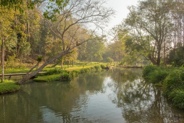 Dağ nehir ile güzel sahne