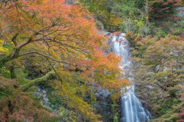 Güzel sahne Minoh şelale