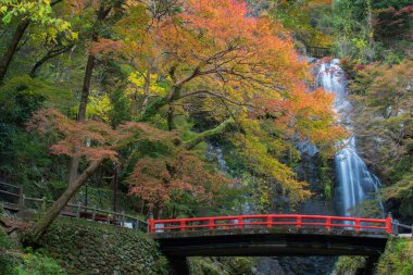 Güzel sahne Minoh şelale