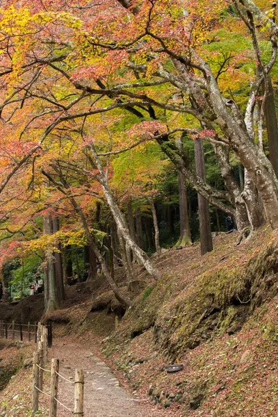 Hermoso otoño en Korankei — Foto de Stock