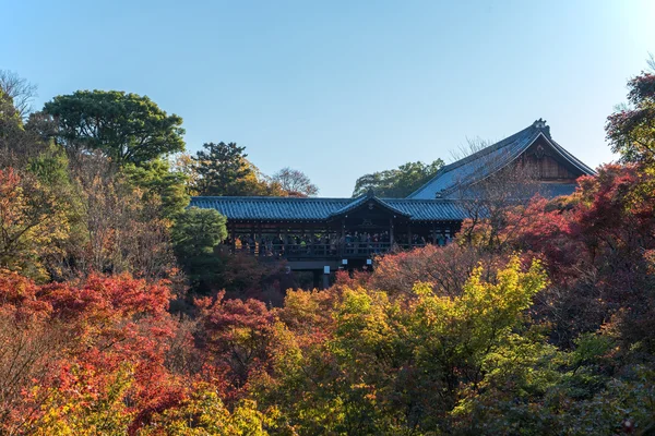 Podzimní festival javor dovolené v Kjótu, Japonsko. — Stock fotografie