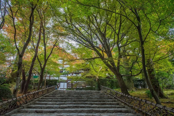 Fogliame autunnale al Tempio Ryonanji di Kyoto — Foto Stock